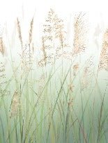 Tapete mit grünen Weizenblumen