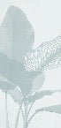 Papier peint feuillage moderne vert d'eau, XXL, tendance