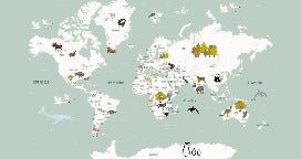 Tapete Weltkarte auf Französisch Kind grün