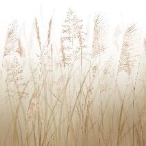Tapete mit Weizenfeldblumen