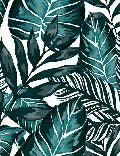 Wc Tapete Vlies Blatt Farbe Blau Pfau