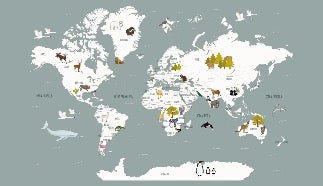 Tapete Weltkarte auf Französisch Kind grau