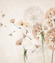 Tapete Blume Löwenzahn