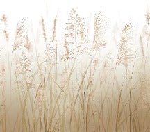 Tapete Blume der Weizenfelder