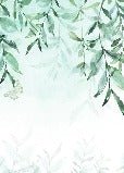 Tapete Kopfteil pflanzlich Eukalyptus