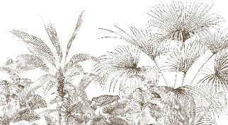 Tropische Tapete Gravur monochrom