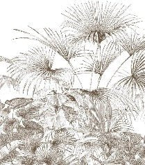 Tropische Tapete Gravur monochrom