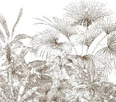 Tropische Tapete Gravur monochrom