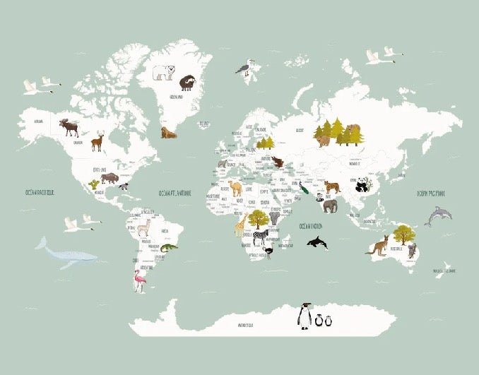 Tapete Weltkarte auf Französisch für Kinder, grün