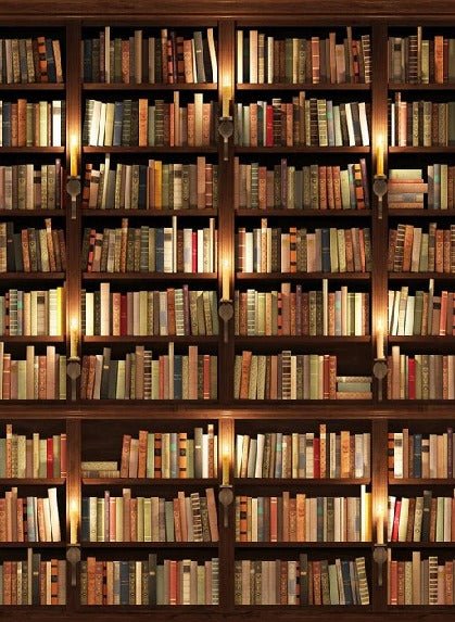 Trompe-l'œil-Tapete Authentische Bibliothek