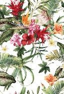 Tropische Tapete & Bunte Blumen