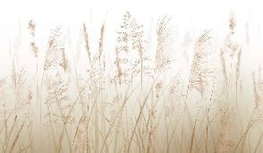 Tapete mit Weizenfeldblumen