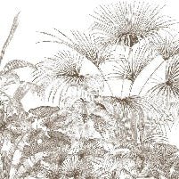 Tropische Tapete Gravur monochrom