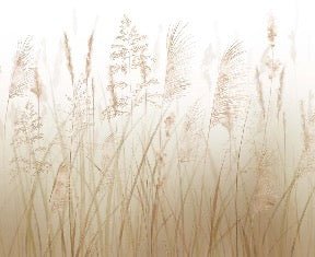 Tapete Blume der Weizenfelder