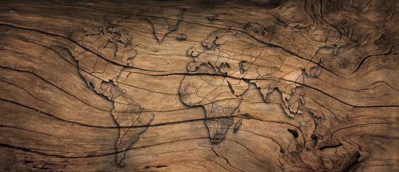 Tapete Wood & Map