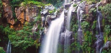 Tapete Wasserfall von La Réunion