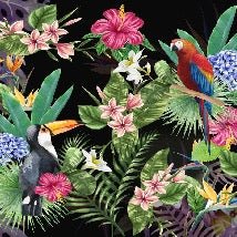 Tapete Tropical & Toucan