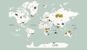 Tapete Weltkarte auf Französisch Kind grün