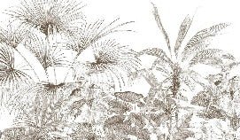 Tropische Tapete Gravur monochrom