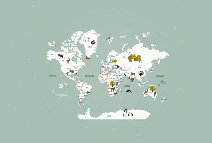 Tapete Weltkarte auf Französisch Kind grün