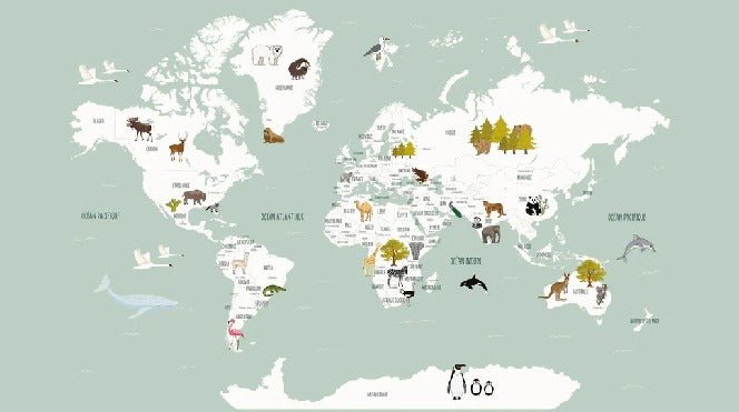 Tapete Weltkarte auf Französisch Kind grün