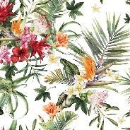 Tropische Tapete & Bunte Blumen