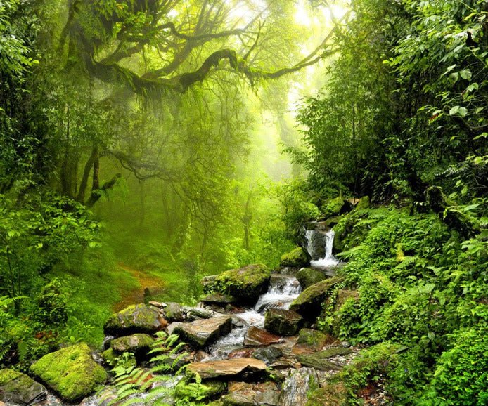 Tapete Wasserfall & Wald