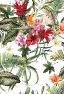 Tropische Tapete & Bunte Blumen