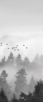 Tapete Mystischer Bergnebel