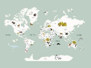 Tapete Weltkarte auf Französisch für Kinder, grün