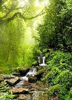 Tapete Wasserfall & Wald