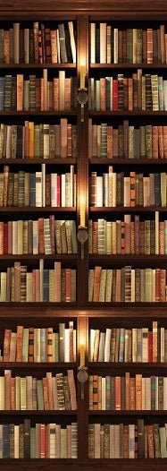Trompe l'oeil Tapete Authentische Bibliothek