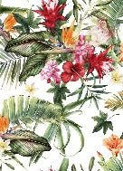 Tropische Tapete & Bunte Blumen