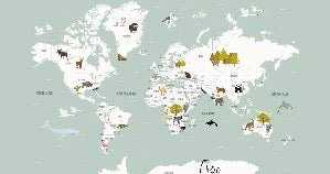 Tapete Weltkarte auf Französisch Kind grün