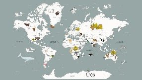 Tapete Weltkarte auf Französisch Kind grau