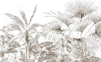 Tropische Tapete Gravur monochrom