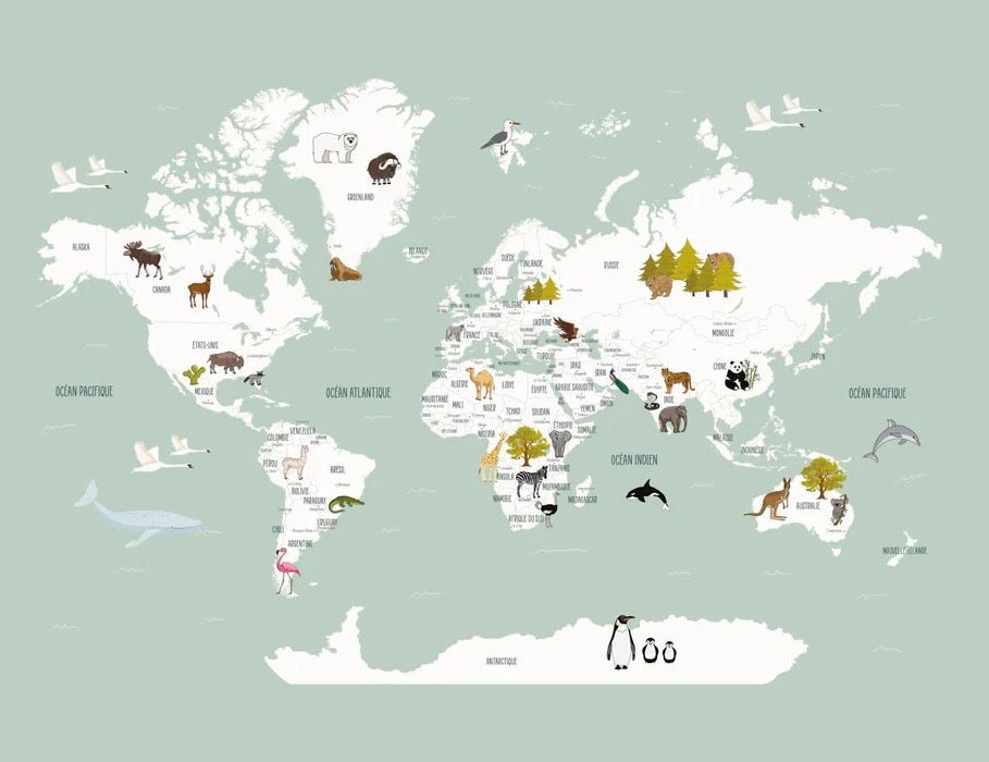 Tapete Weltkarte auf Französisch Kind grün