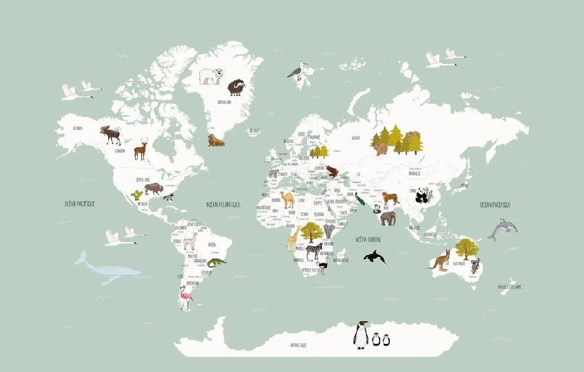 Tapete Weltkarte auf Französisch Kind grün