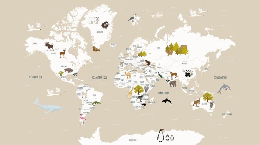 Papier peint Carte du monde en Francais enfant beige, XXL, tendance