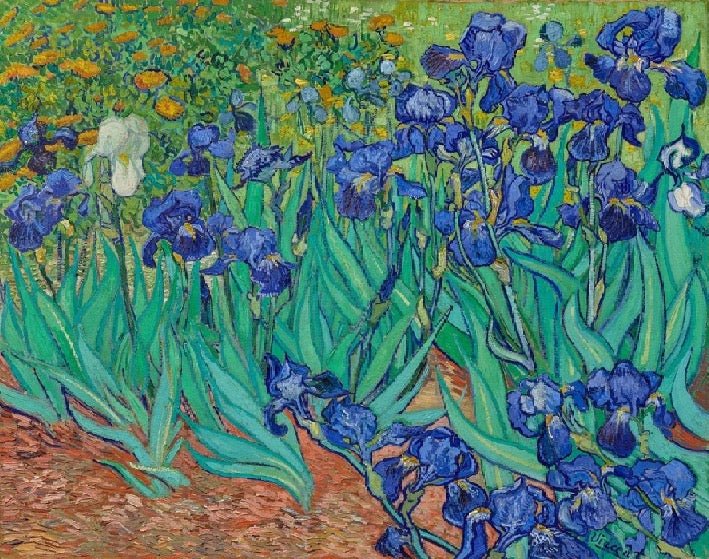 Tapete mit Irisblumen
