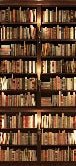 Trompe-l'œil-Tapete Authentische Bibliothek