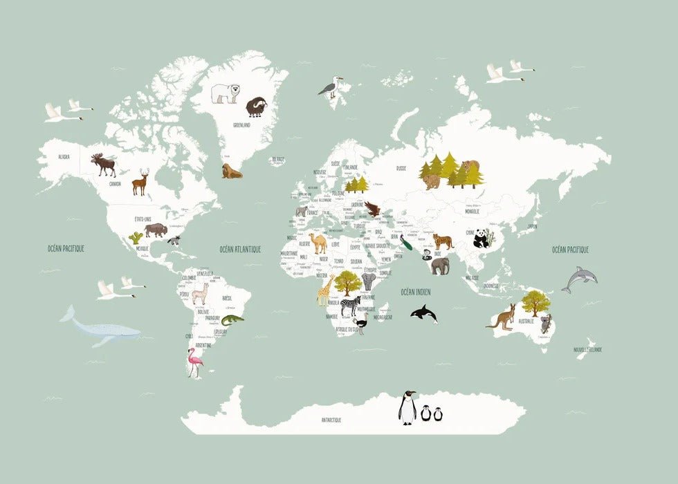 Tapete Weltkarte auf Französisch für Kinder, grün