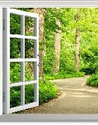 Tapete Trompe l'oeil Waldspaziergang