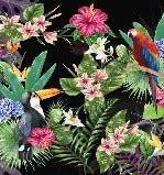 Tapete Tropical & Toucan