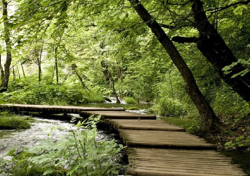 Tapete Bistro Trompe l'oeil Waldweg