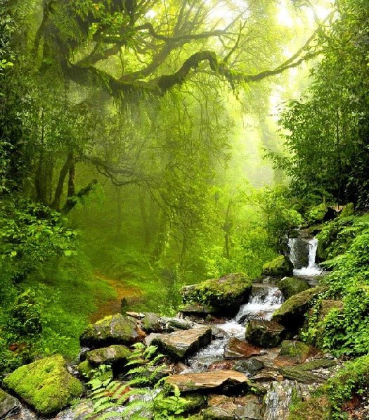 Tapete Wasserfall & Wald