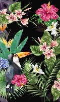 Tapete Tropical & Toucan