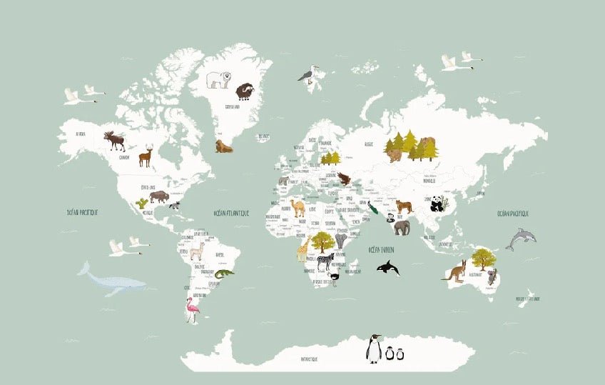 Tapete Weltkarte auf Französisch Kind grün