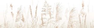 Tapete Blume der Weizenfelder