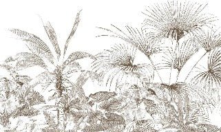 Tropische Tapete Gravur monochrom